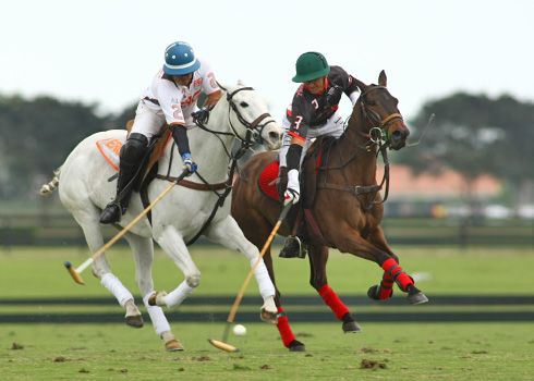 Polo magazine polo photos polo club ERG polo team Orchard Hill alex pacheco 2