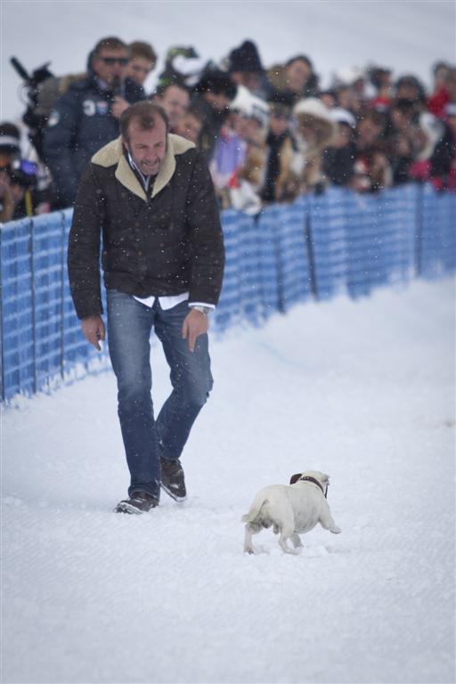 bmw polo masters polo magazine morgane delfosse dimanche 3 f 66