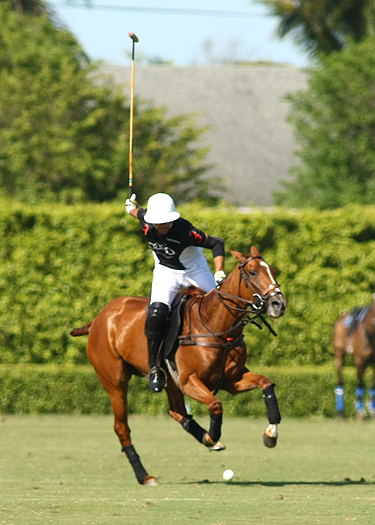 Photos-Valiente vs. Audi alex pacheco polo match polo tournament 3