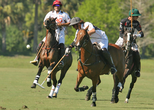 alexpacheco polo photos polo teams erg ipc polo club florida 2
