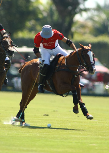 polo teams zorzal audi polo gold cup polo magazine polo photos alex pacheco 3