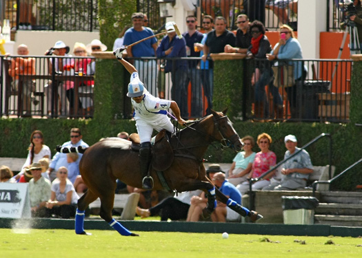 polo top tournament usa polo match alex pacheco 5