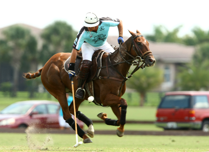 uspa polo tournament sun cup round robin pacheco polo mag 1