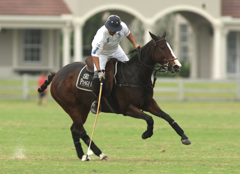 Beluga Cup polotournamentpolomagazinepachecophotos 2