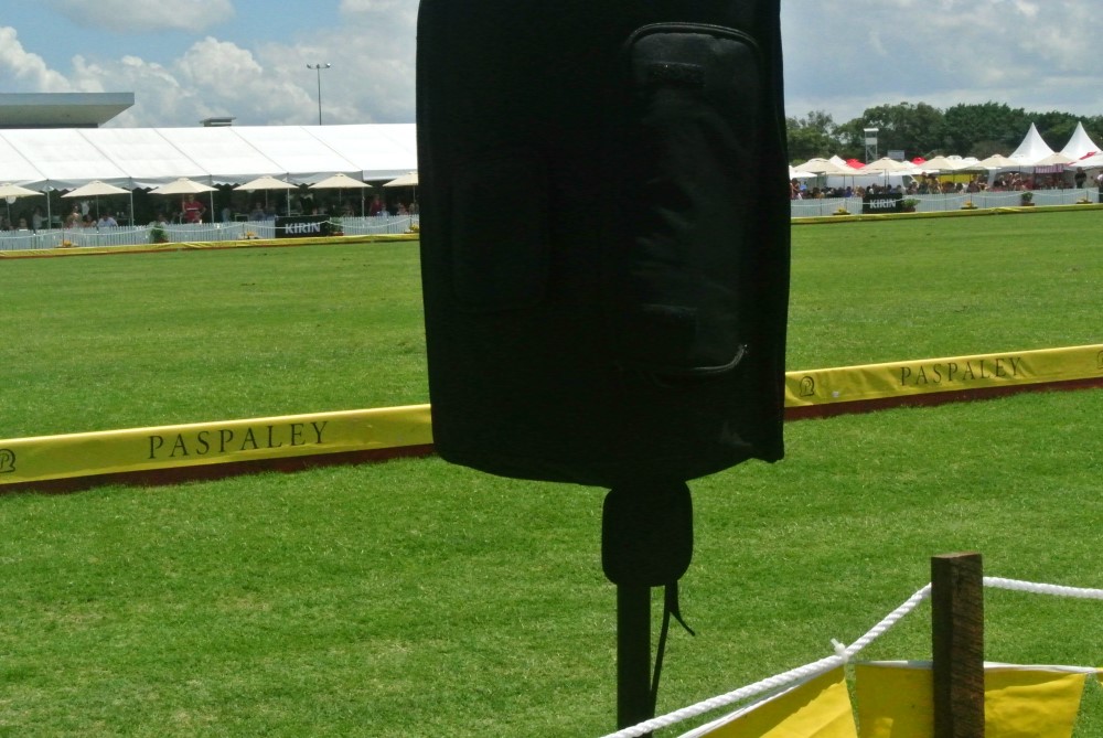 DSC 7655