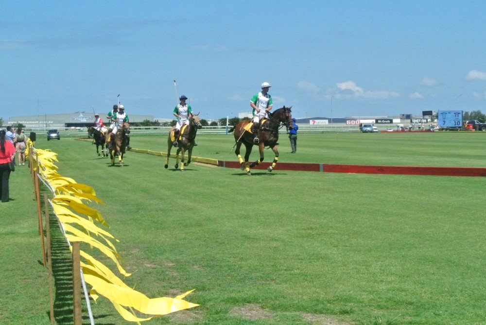 DSC 8000