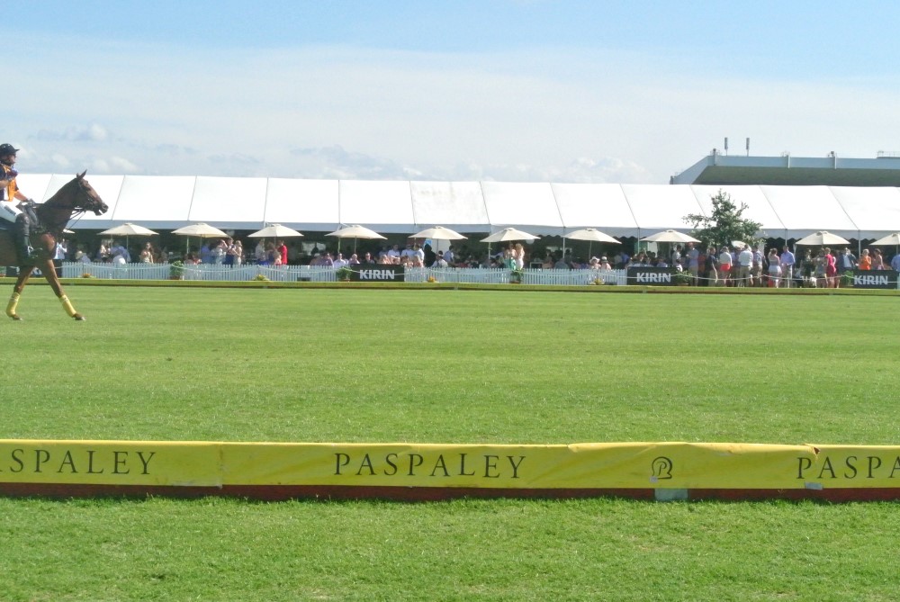 DSC 8199