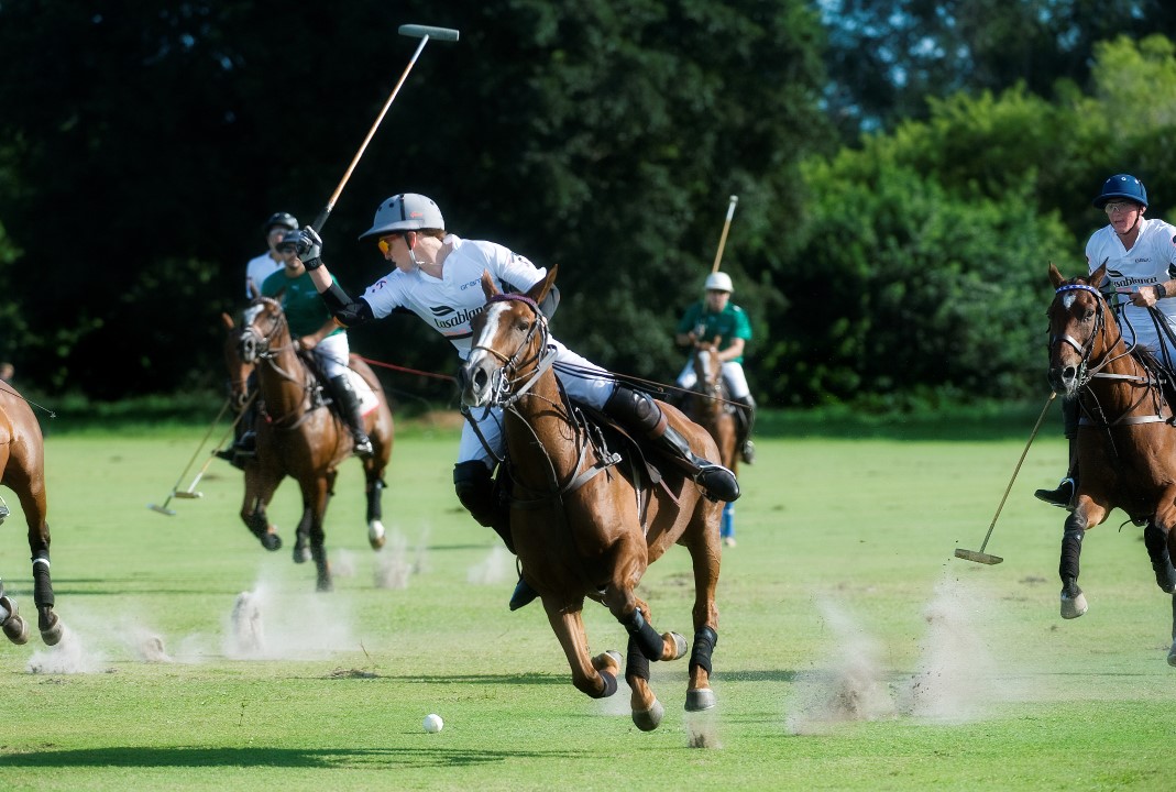 Audi, Newport Advance