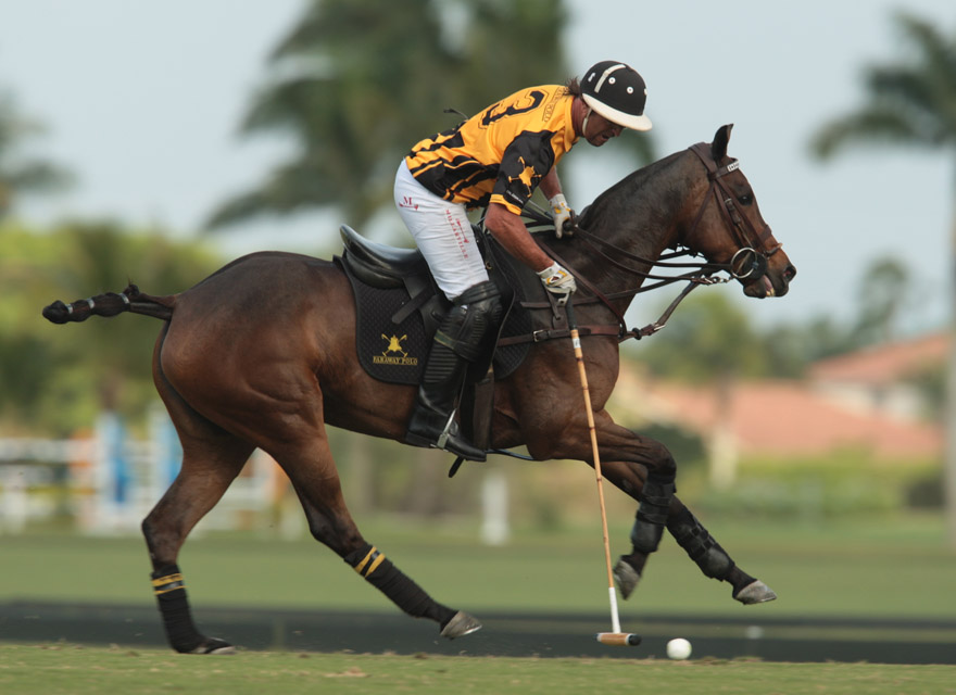 photos-of-iglehart-semifinal 5 polomagazine.jpg