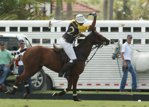 pacheco polo photos us open polo championship florida polo magazine faraway lechuza 4